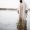 A biblical scene - of Jesus Christ standing in the water with a blurred background